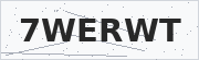 Security verification CAPTCHA